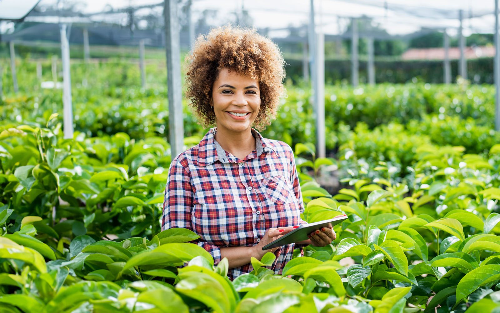 woman-growing-plants-using-technology-digital-tablet-1356566508