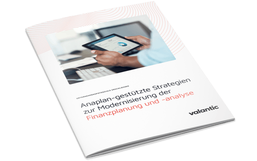 FP&A_Whitepaper_Mockup (liegend) de