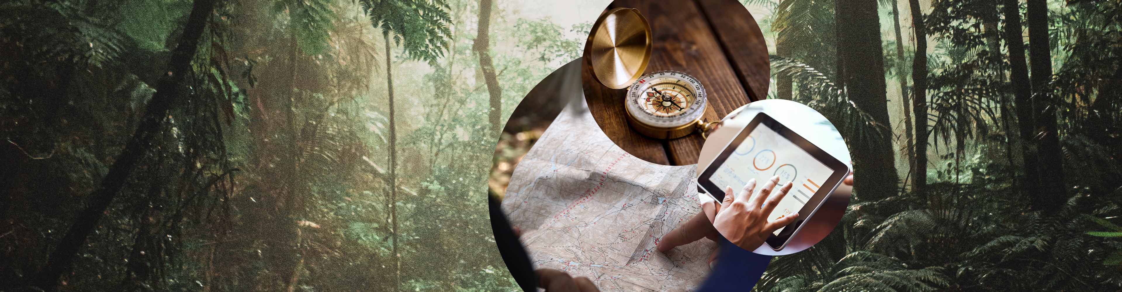 Dreiklang-Kompass Ipad Landkarte auf Dschungel MarTech 