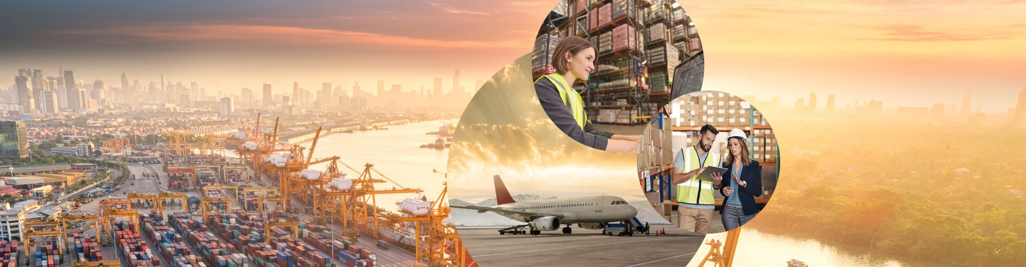 Optimierter Außenhandel mit SAP Global Trade Services (SAP GTS)