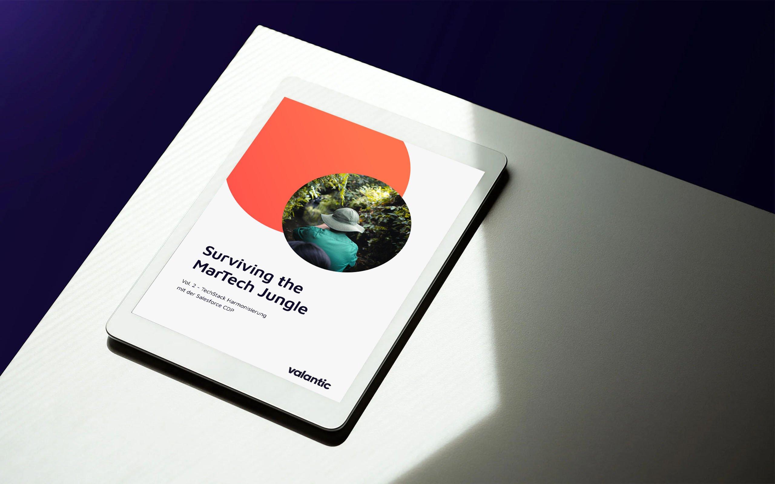 Mockup Surviving the MarTech Jungle Vol. 2 – TechStack Harmonisierung mit der Salesforce CDP
