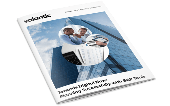 sap_finanzplanung_Whitepaper_Mockup (liegend) eng