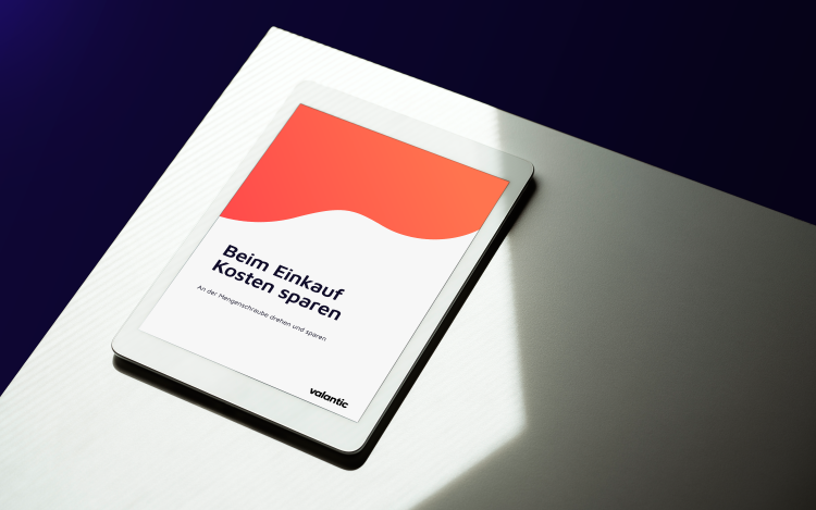 Mock Up Whitepaper: Beim Einkauf Kosten sparen