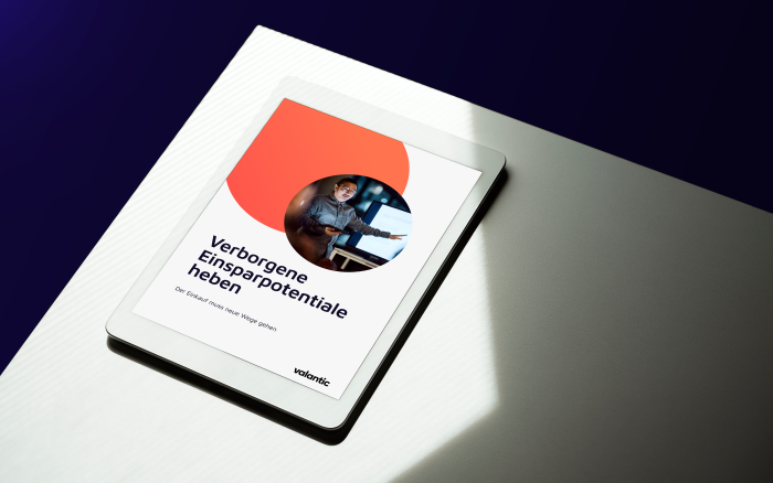 Mock Up Whitepaper: Verborgene Einsparpotentiale heben