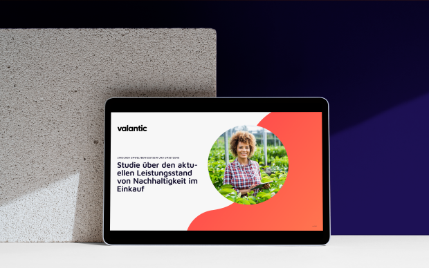 Mock Up Studie: Studie über den aktuellen Leistungsstand von Nachhaltigkeit im Einkauf