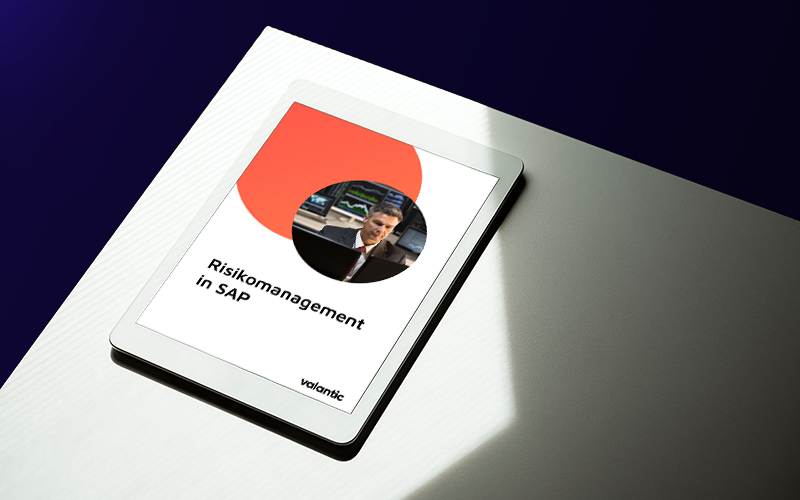 valantic Risikomanagement in SAP Produktblatt Mockup