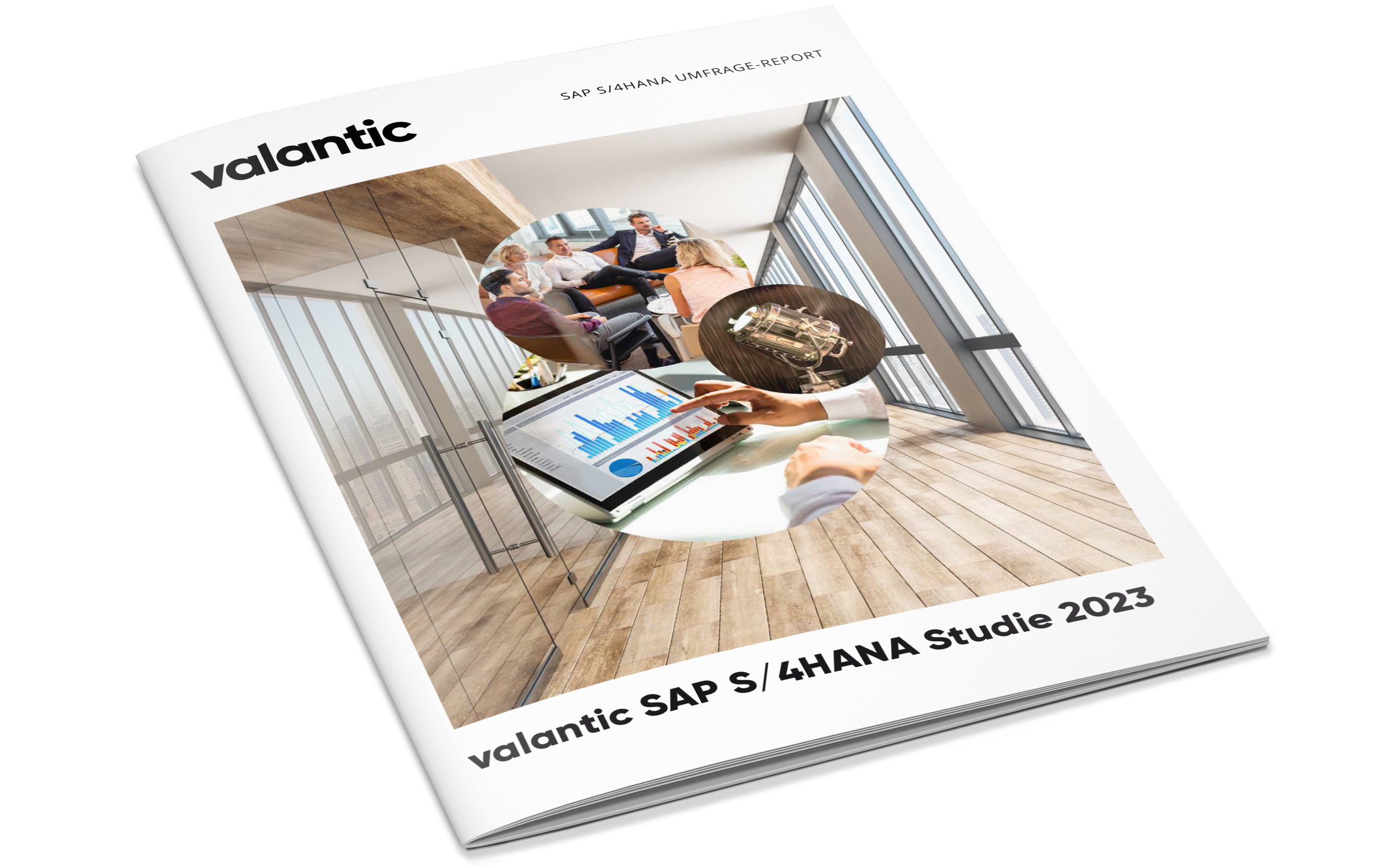 Mockup-Studien-Report-S4HANA-Umfrage-2023-vorlaeufig